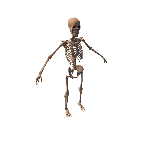 Sand_Skeleton Variant